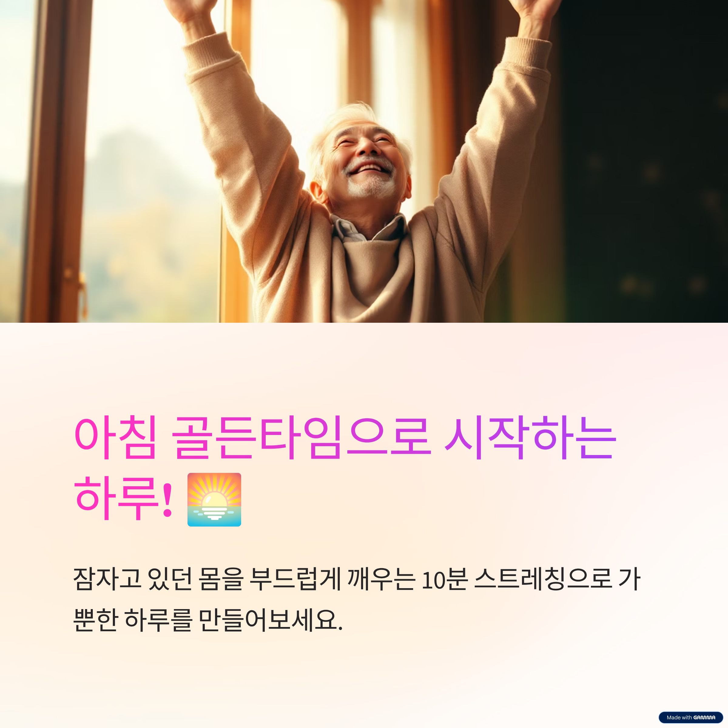 시니어 건강식단