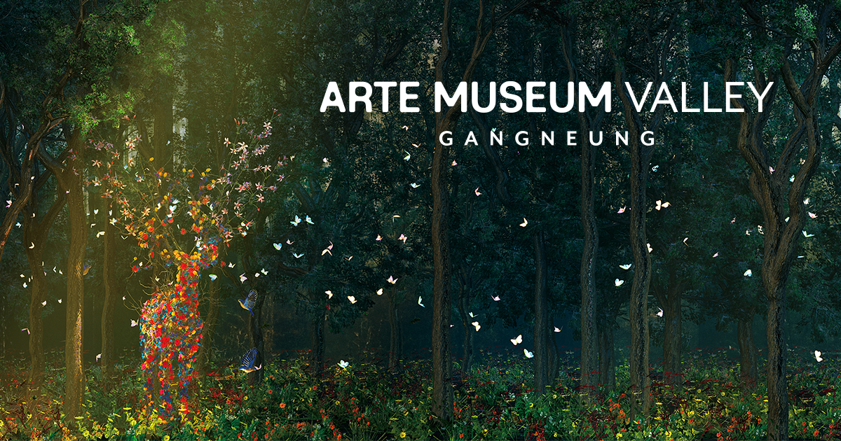 강릉 아르떼뮤지엄