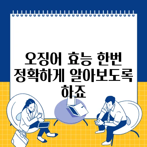 오징어 효능 한번 정확하게 알아보도록 하죠