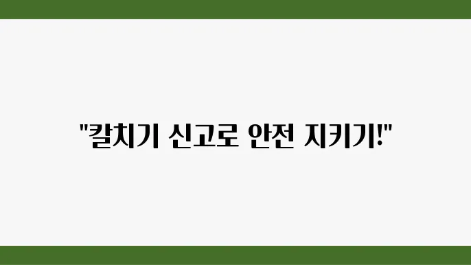 칼치기 신고 방법 난폭운전 벌금
