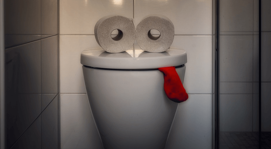 변기 위에 두루마리 화장지 두 개가 놓여 있다