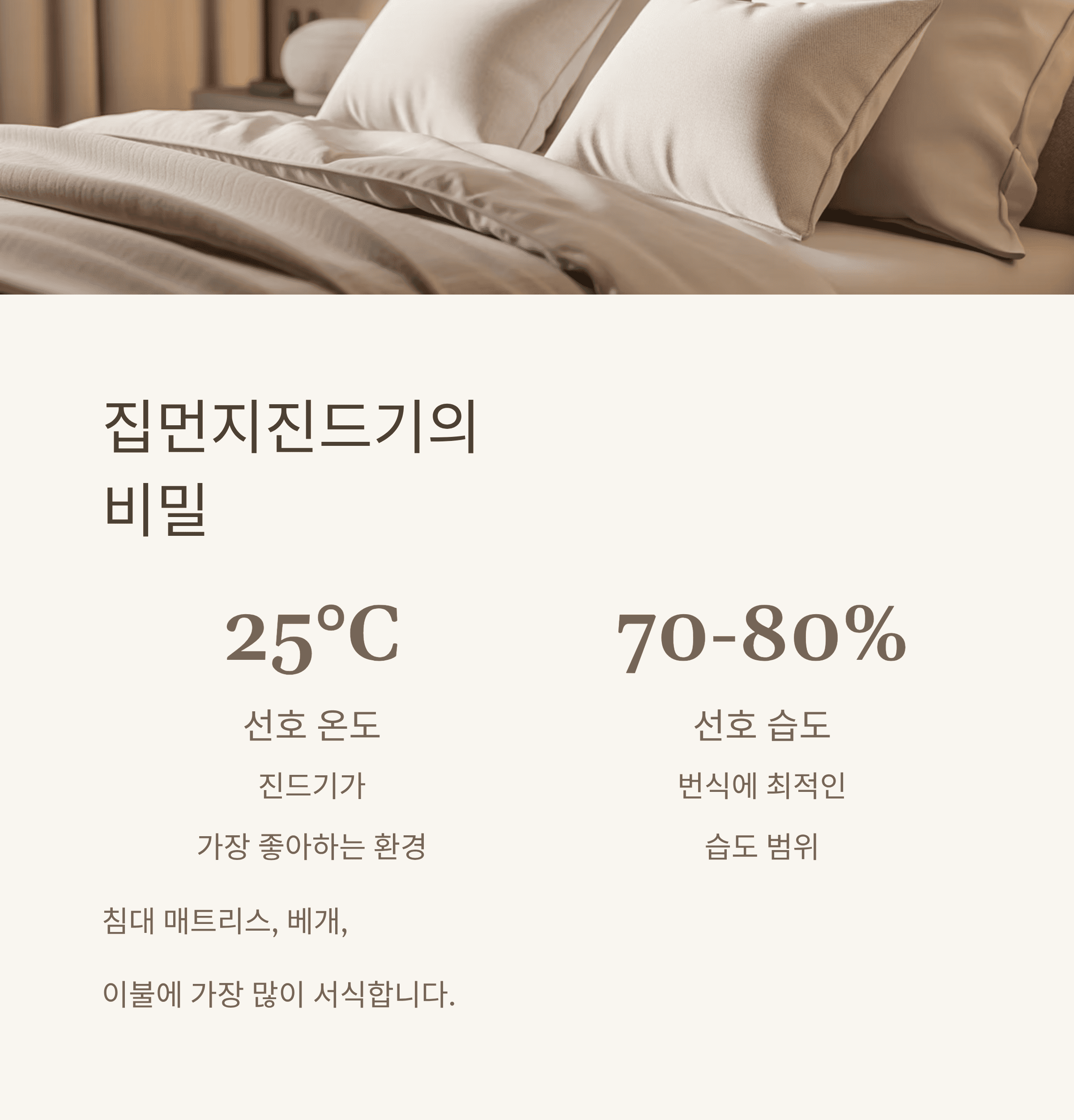 먼지 알레르기 비염! 증상 완화와 완벽 퇴치를 위한 필승 전략