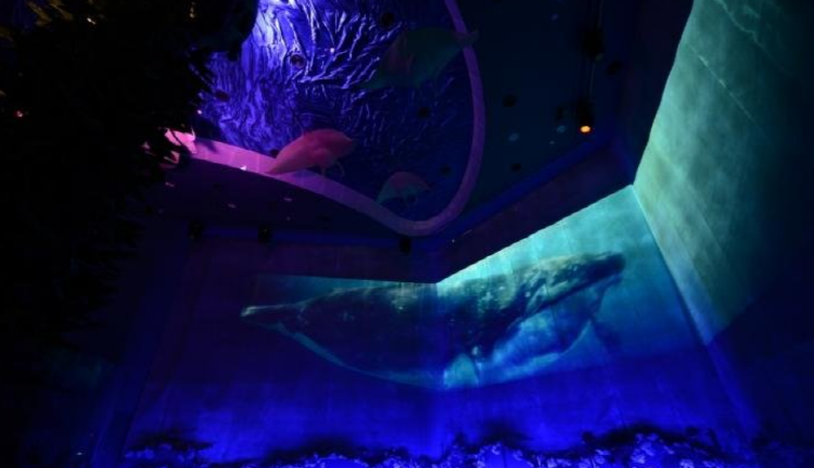 국립해양생물자원관