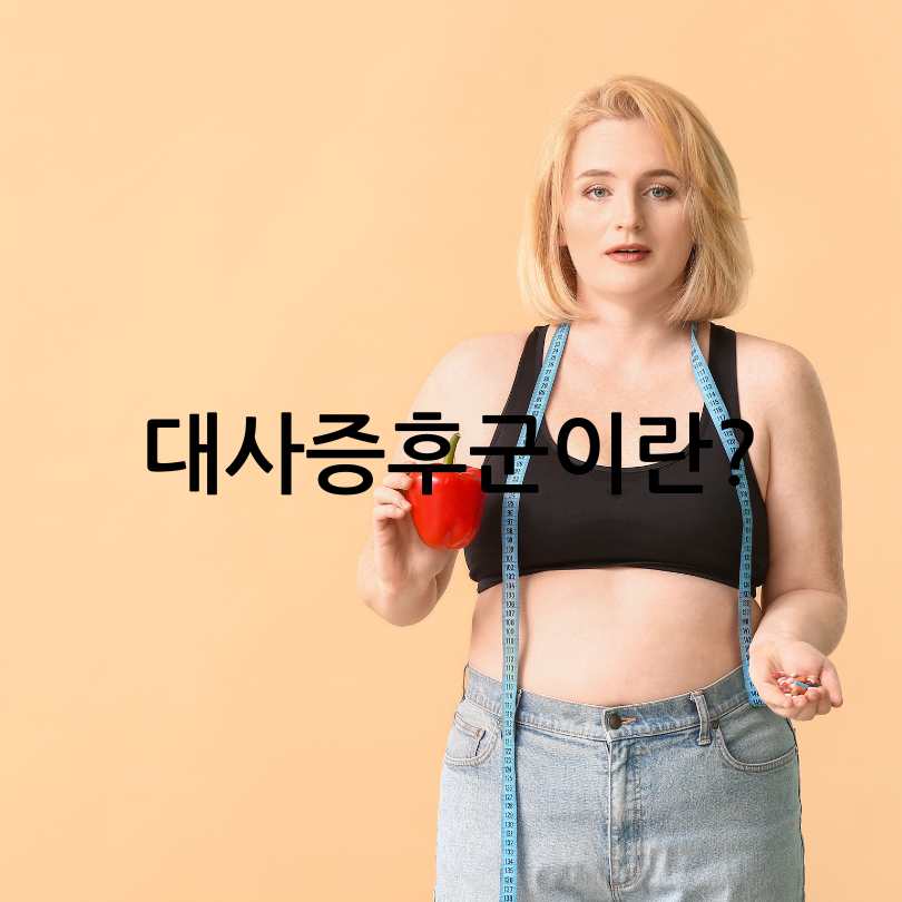 대사증후군 증상&amp;#44; 211 식단