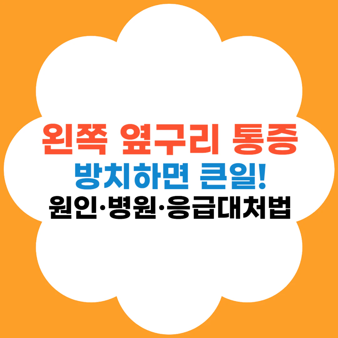 왼쪽 옆구리 통증