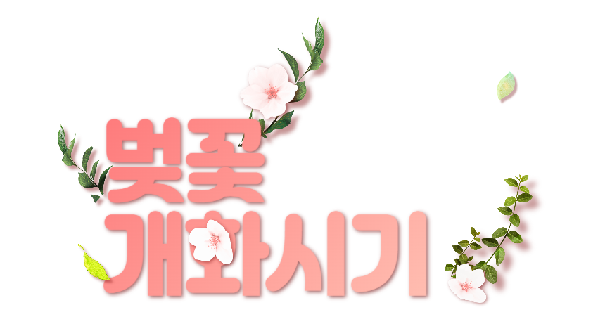 2025 벚꽃 개화시기 추천 명소