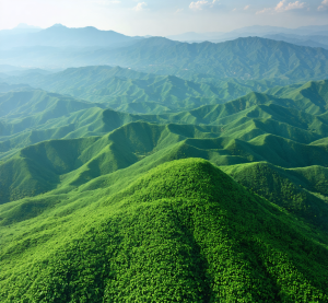 암치료 방법 15종류