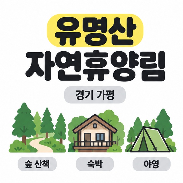 유명산 자연휴양림과 경기 가평 문구 아래 숲길, 숙박용 집, 텐트를 숲 산책과 숙박 및 야영으로 구분한 대표 썸네일