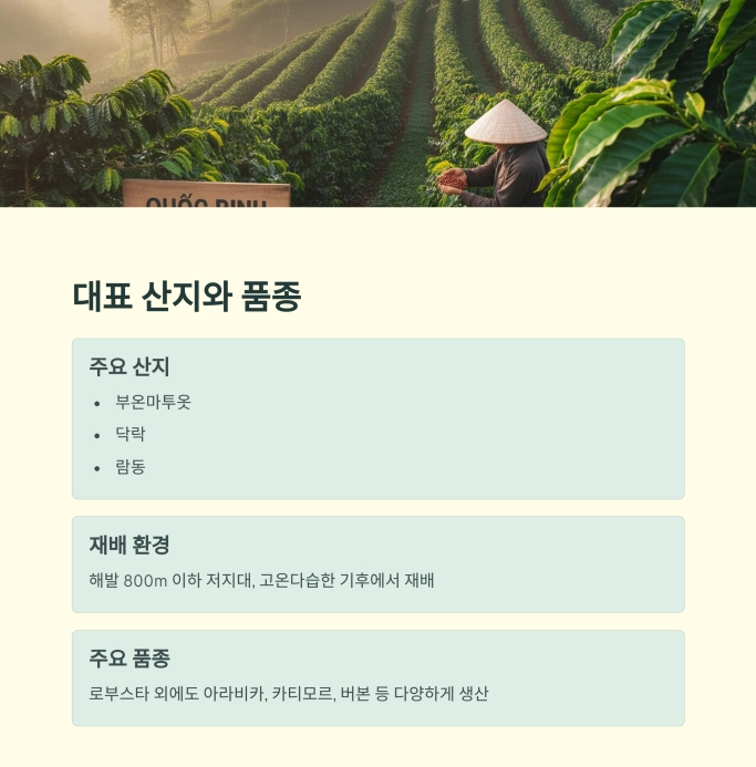 베트남 커피, 세계를 사로잡는 향과 이야기