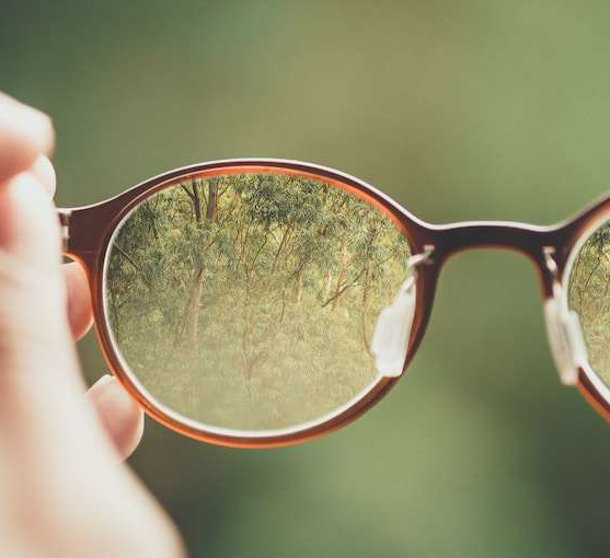 치약의 남다른 활용법