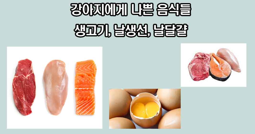 강아지에게 나쁜 음식들, 강아지에게 해로운 음식들