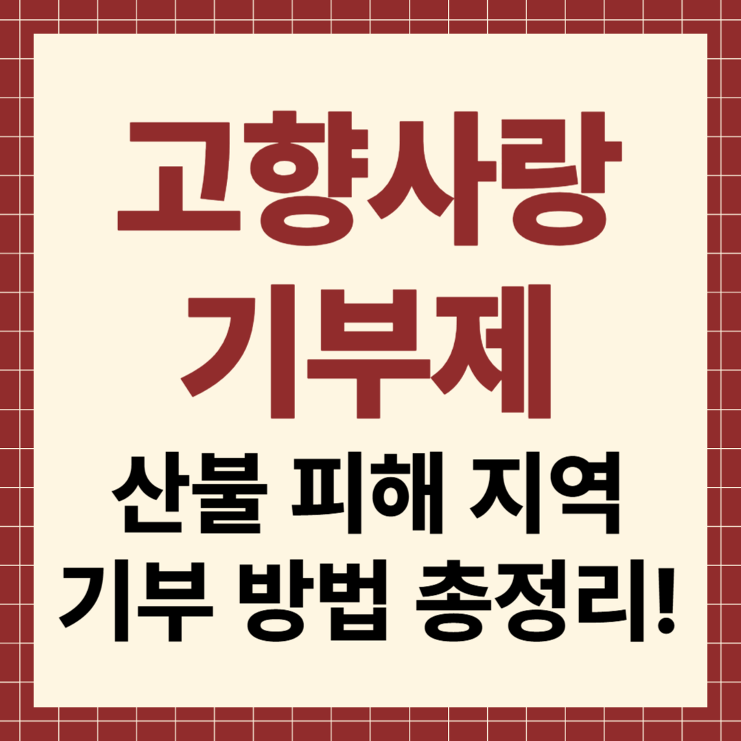 고향사랑 기부제