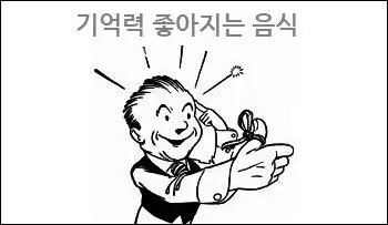 기억력 좋아지는 음식