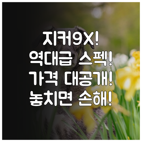 지커 9X 가격 정보와 핵심 스펙 요..