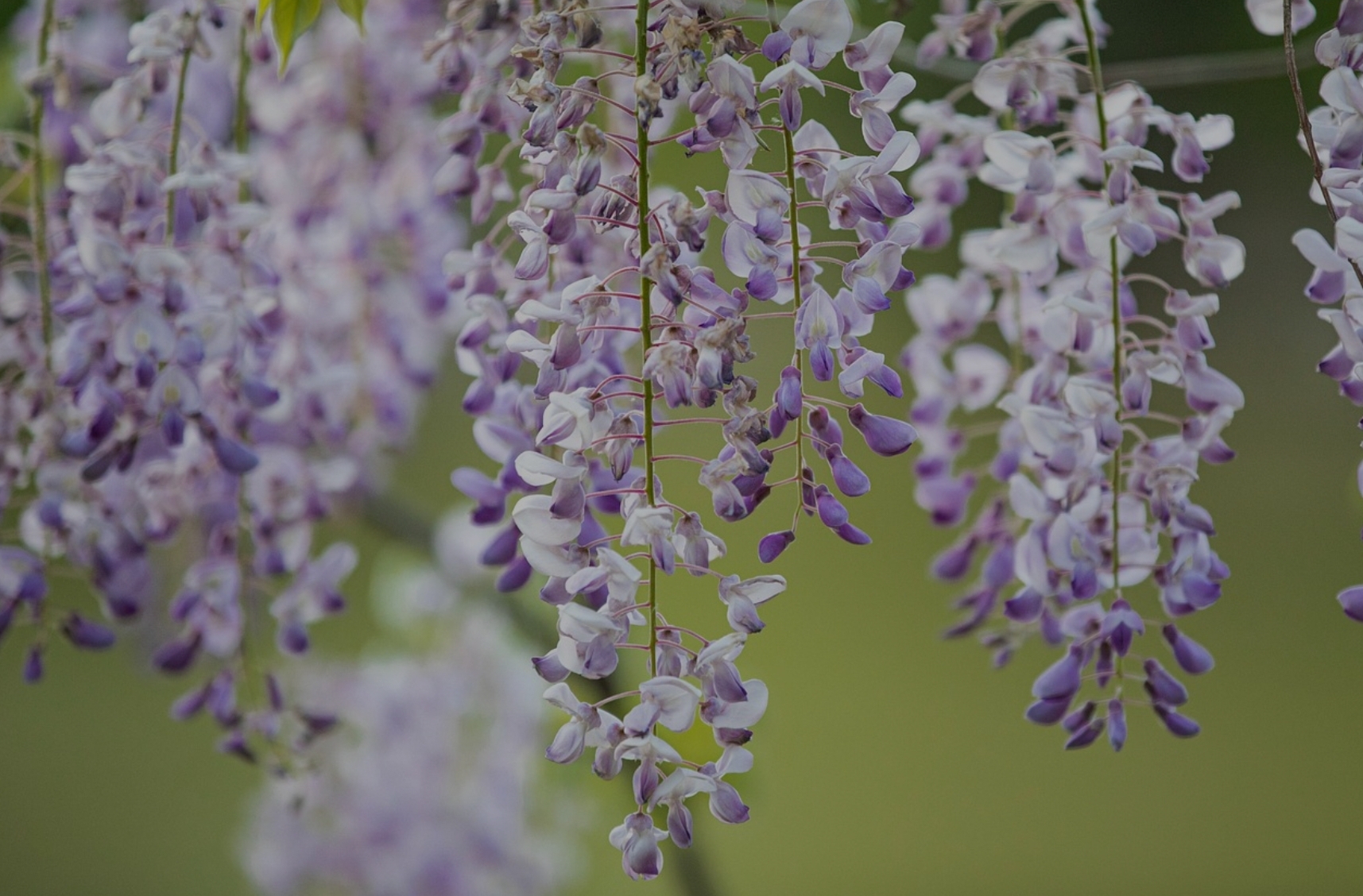 동기부여 영상이 싫어진 이유