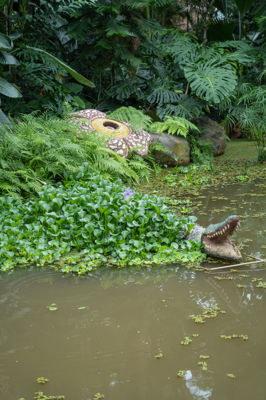 여미지 식물원 열대 정원