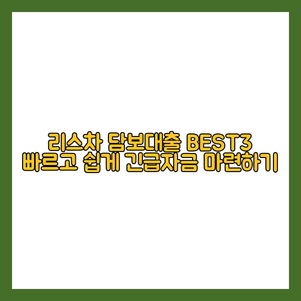 리스차 담보대출