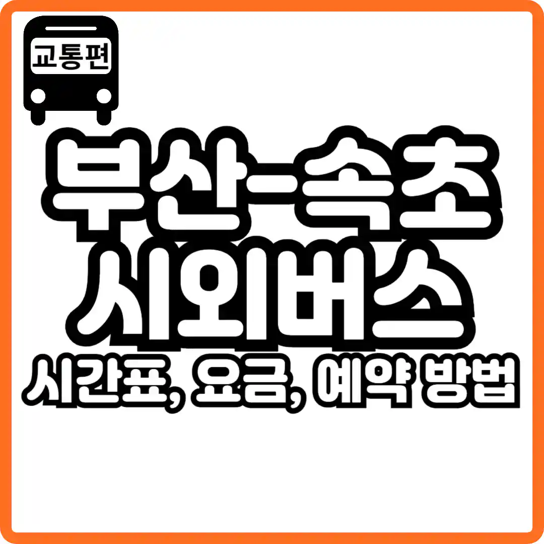 부산 속초 버스