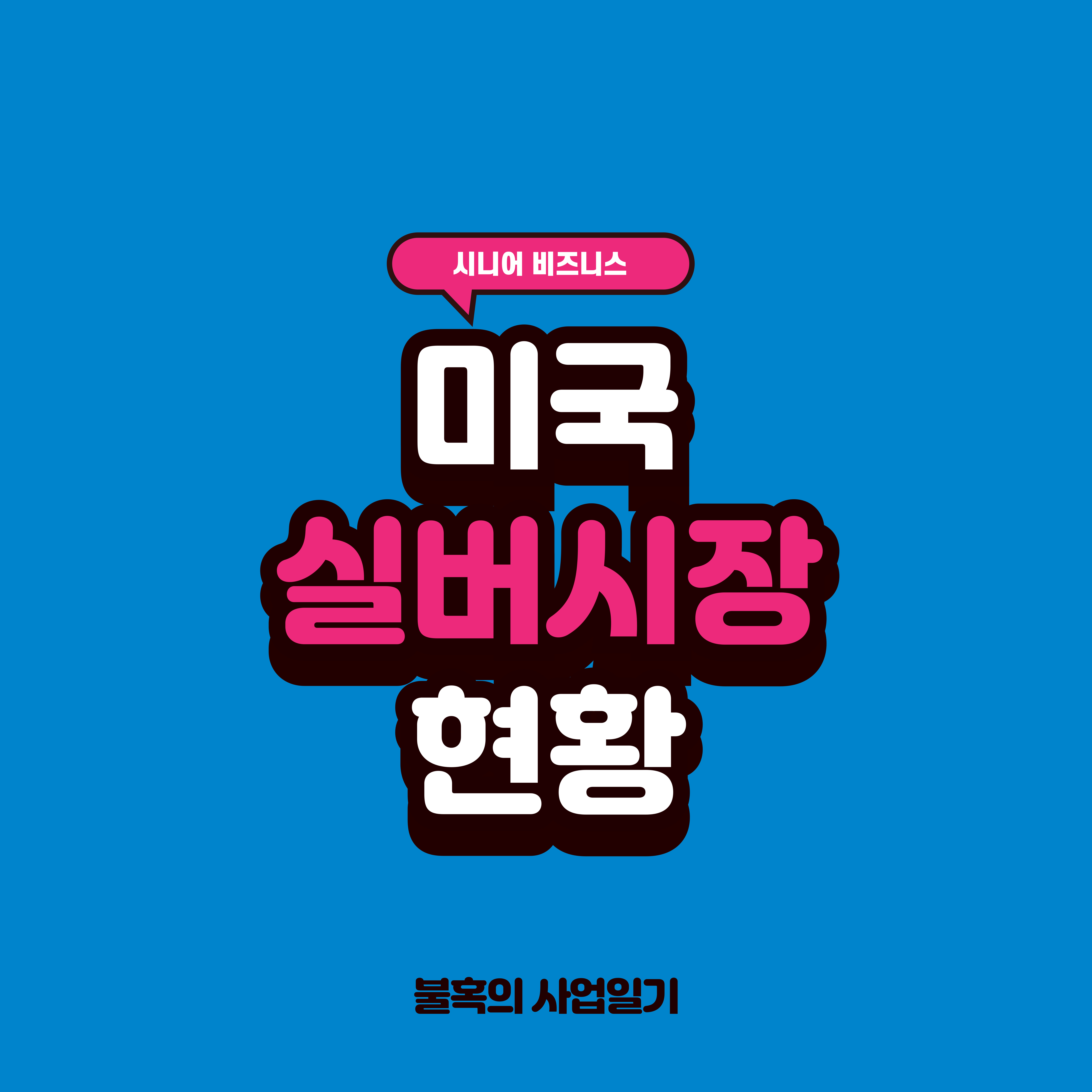 미국 실버시장 현황