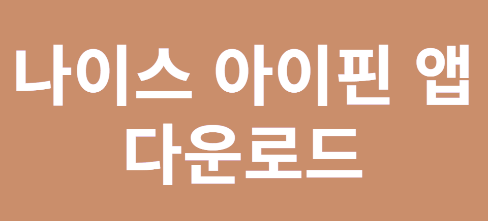 나이스 아이핀 앱 다운로드