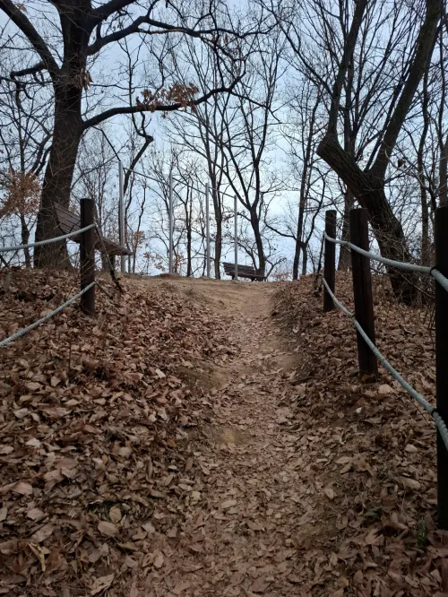 여물봉 나무의자에서의 트랜서핑 중요성 낮추기 실천과 에너지 회수 전략 (Transurfing Strategy for Lowering Importance and Energy Restoration at Yeomulbong Chair)