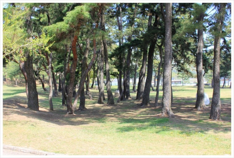 2024 경주 가볼만한곳 하루코스 시내 놀거리 유적지 왕릉 먹거리