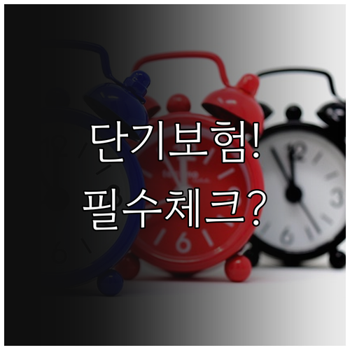 퍼아워 단기 보험 가입 조건과 보장 ..