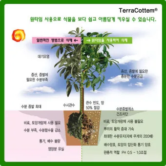 토양 개량 방법 유기물 석회 훈탄 염류집적 해결_27