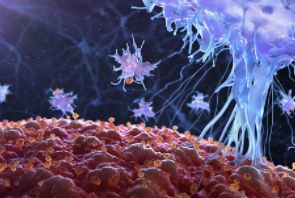 백혈구 정상 수치