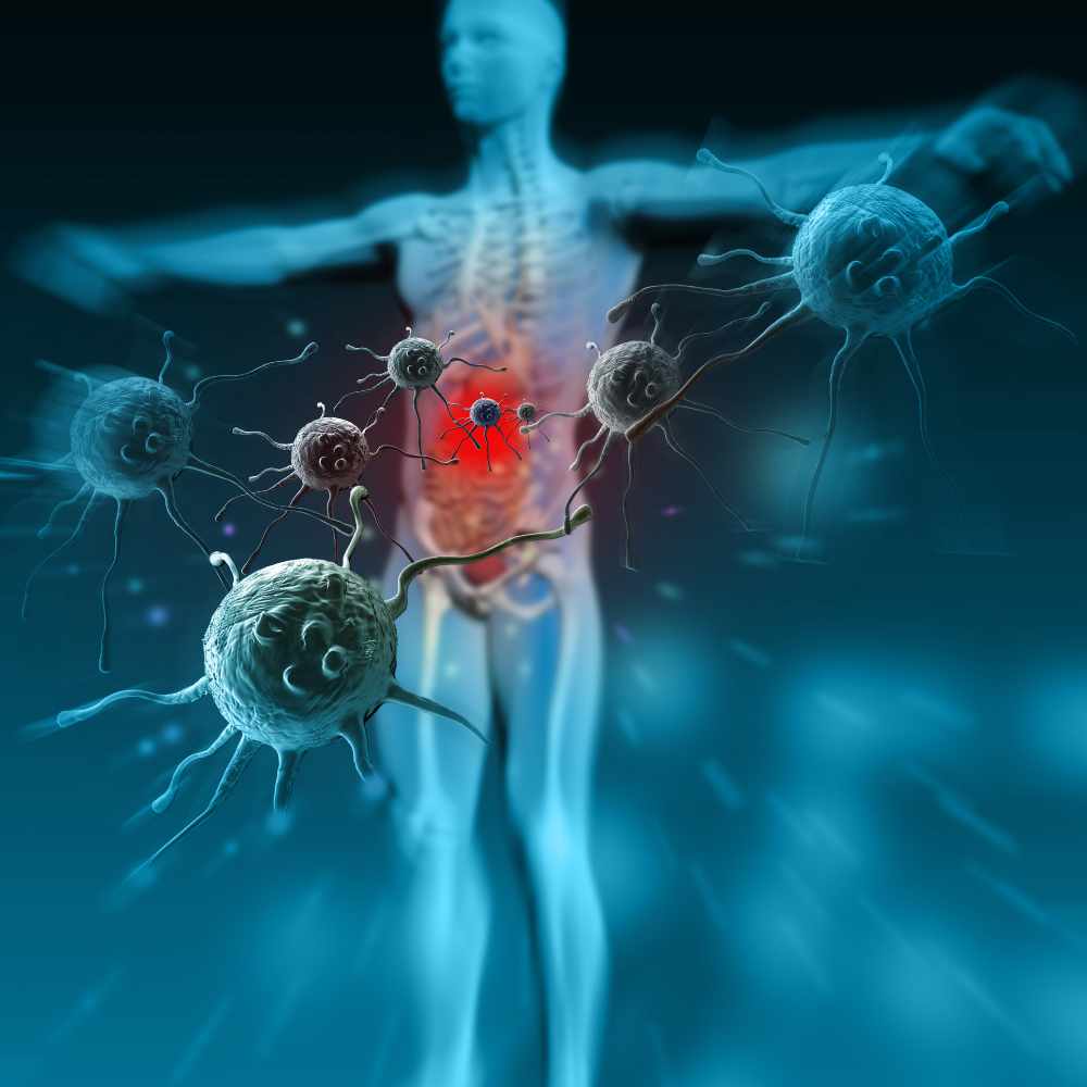 알부민의 효능 면역력 약화 해결