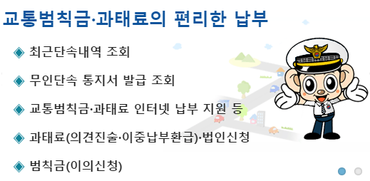 신호위반 실시간 조회