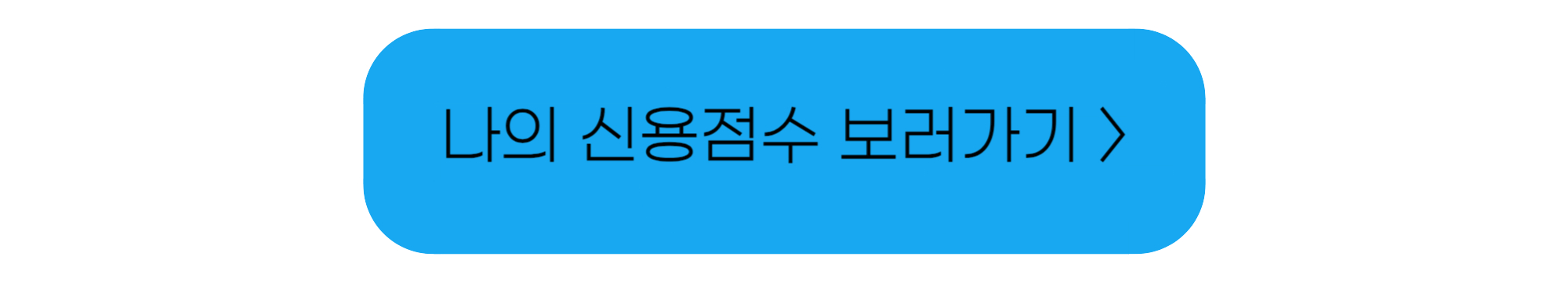 신용점수