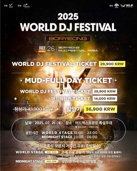 보령 머드축제