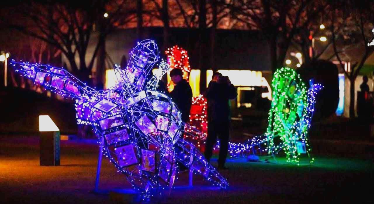 축제 현장 곳곳에 숨겨져 있는 아름다운 전시 작품이다. [ⓒ(재)수성문화재단 배수정]