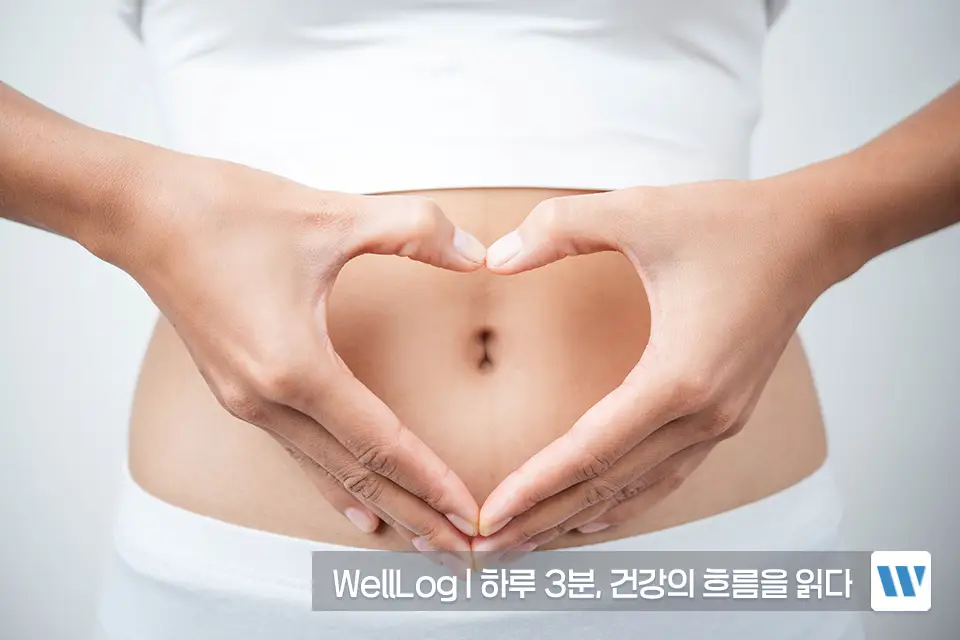 햄프씨드 효능 단백질 오메가3 항산화