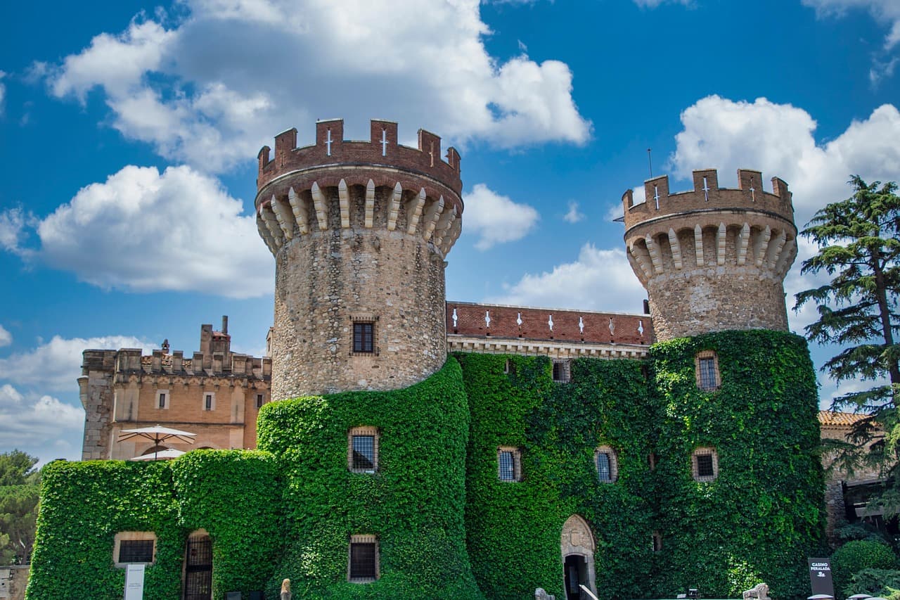 여행하며 일하기: 스페인어 관광 가이드 도전기