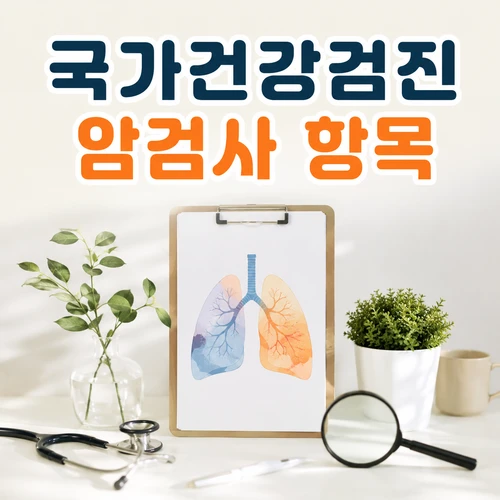국가건강검진 암검사 항목