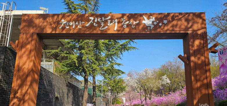 [3,4월 축제]원미산 진달래축제❘진달래 동산 3월, 4월 방문 후기