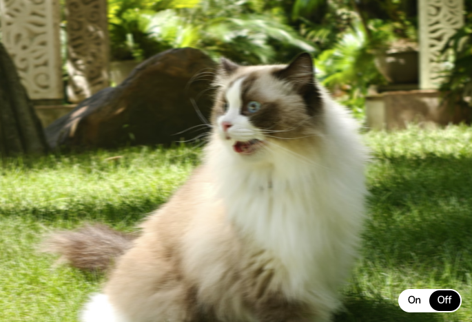 AI Unblur 기능 적용 전