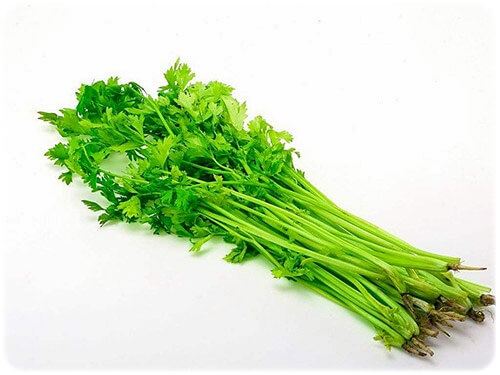 피부에 좋은 음식 안좋은 음식