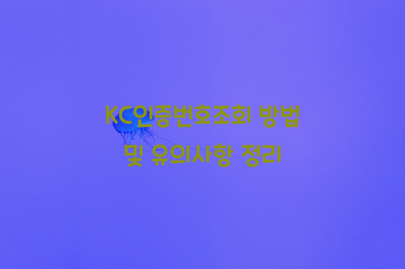 KC인증번호조회