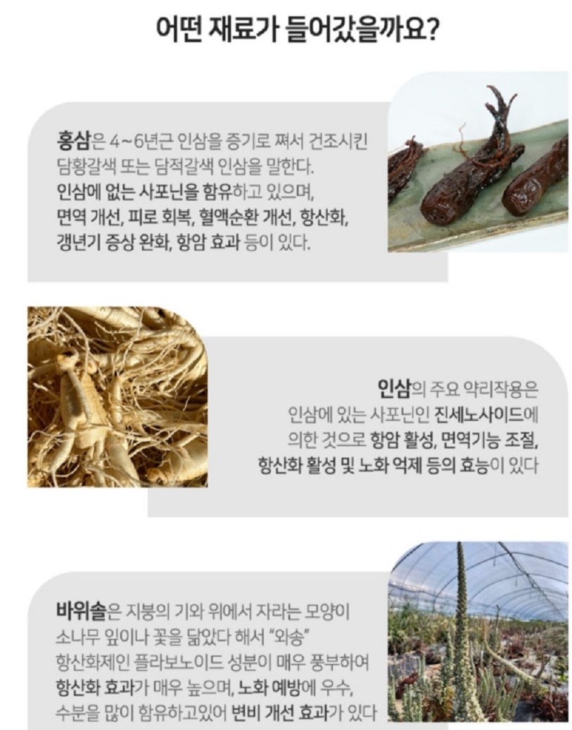 진안-차정단-발효식초