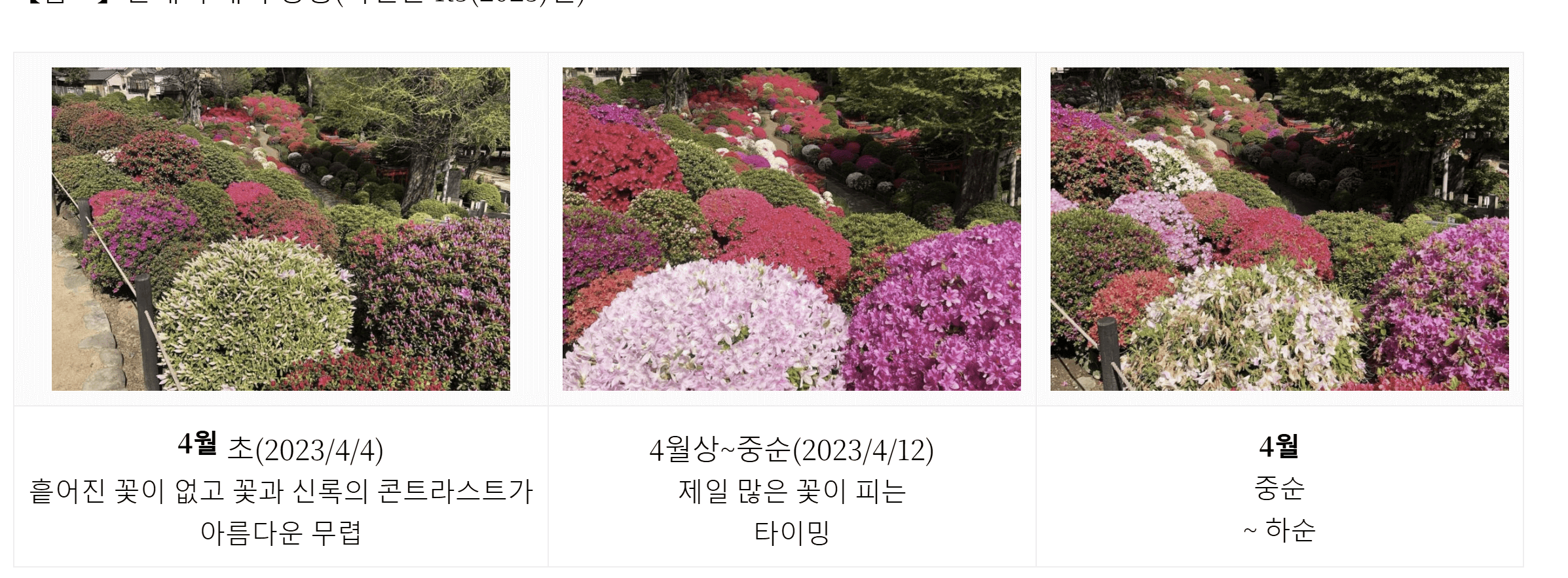 네즈 신사에서 즐길 것들