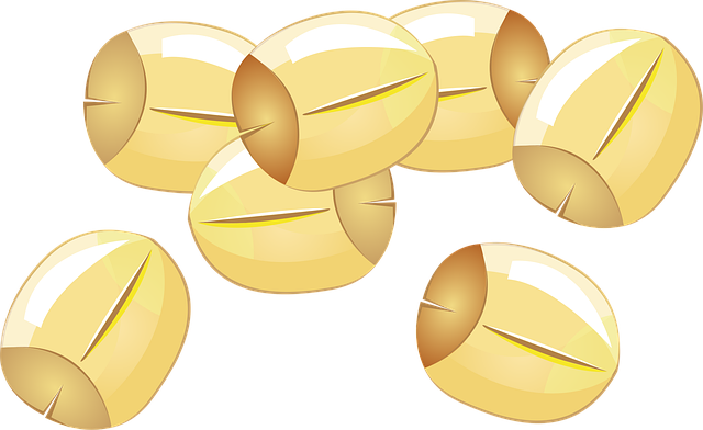 연꽃 씨앗 관련 사진