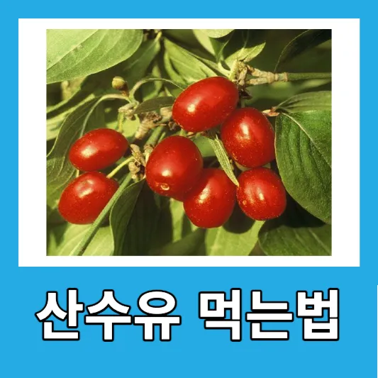 산수유 먹는법