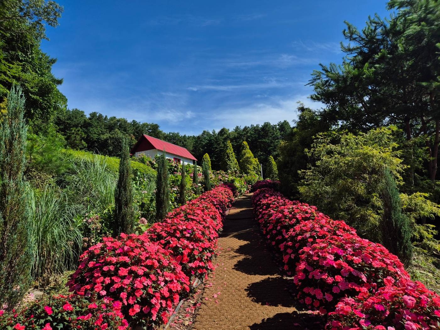 율봄식물원 봉선화