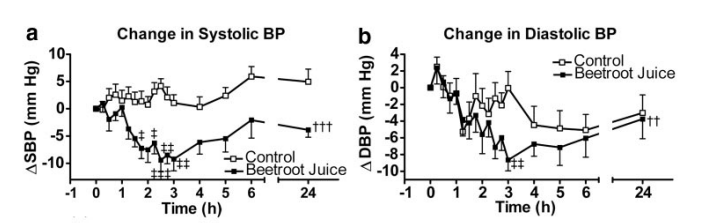 비트 주스 섭취 후 혈압 강하효과
