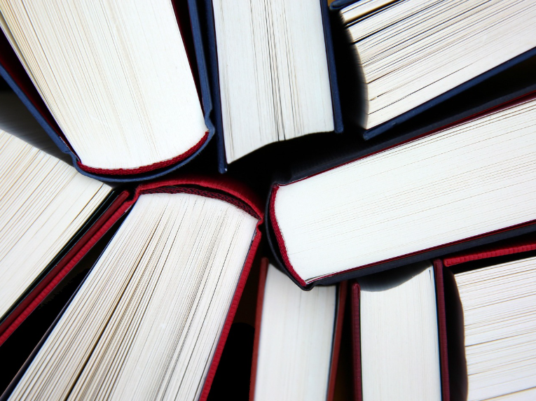 베스트셀러 외국 소설 (장르, 시리즈, 작가) 참고 사진