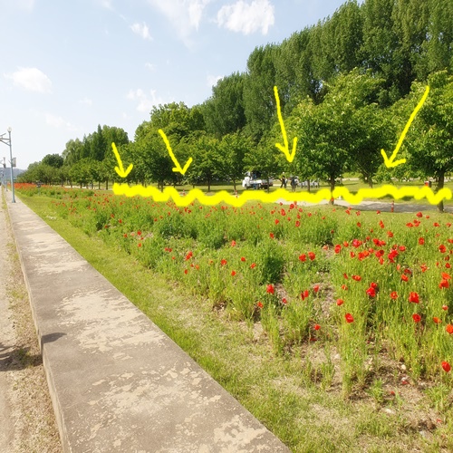 차크닉하기-좋은-장소-추천