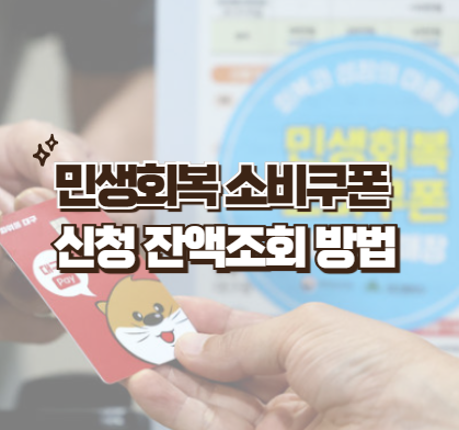 민생회복 소비쿠폰 신청 잔액조회 방법